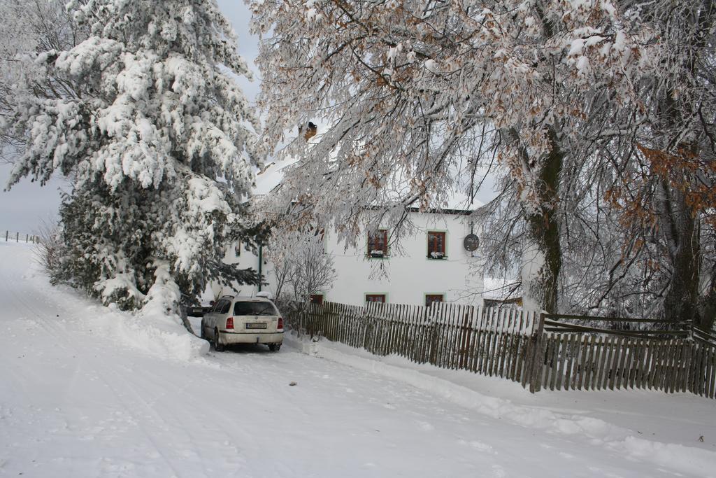 Apartmán Apartmán Hořice na Šumavě Exteriér fotografie